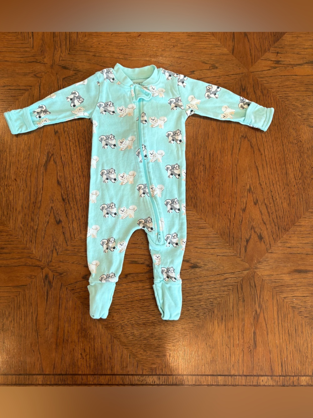 Paris Hilton by Monica + Andy Light Blue Footed Puppy Print